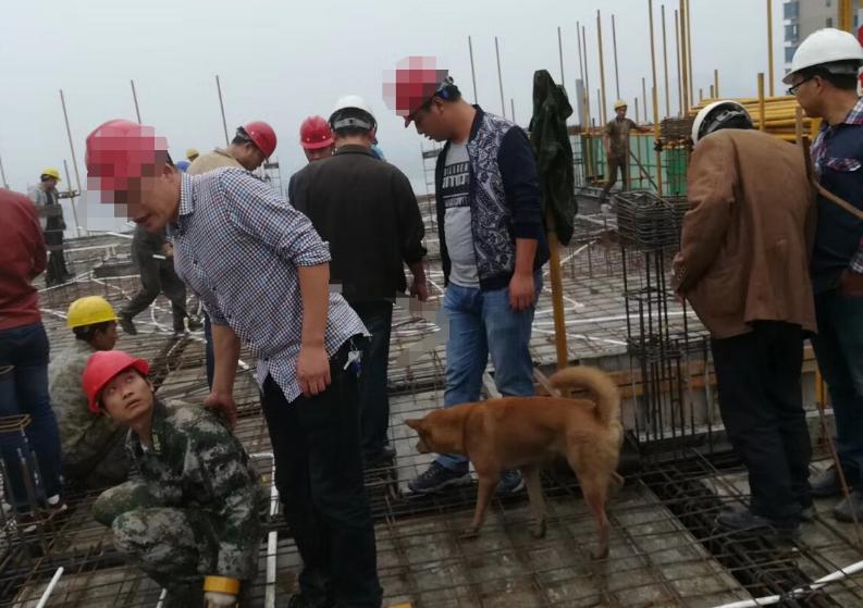 施工员证考试难不难,四川省施工员证考试