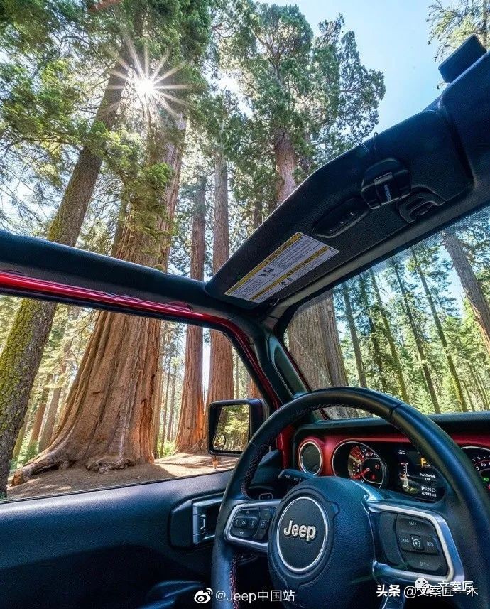 如何告别2021年最后一天文案,总结2021年文案短句