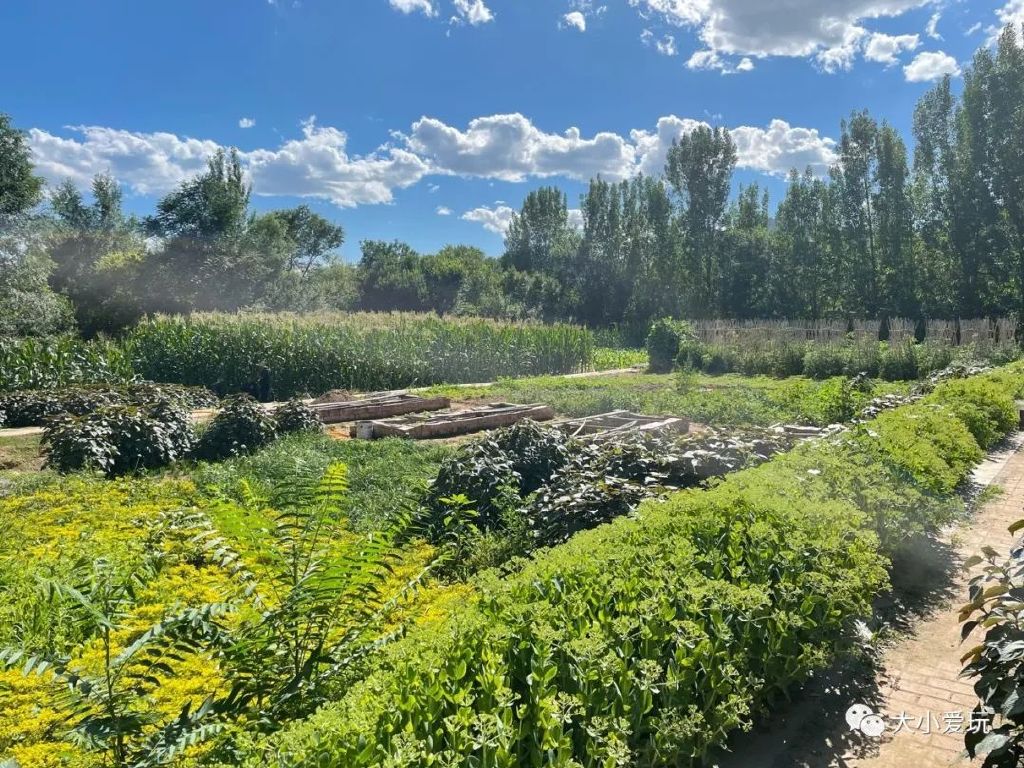 打卡北京亲子乐园天花板,北京度假村旅游攻略带孩子