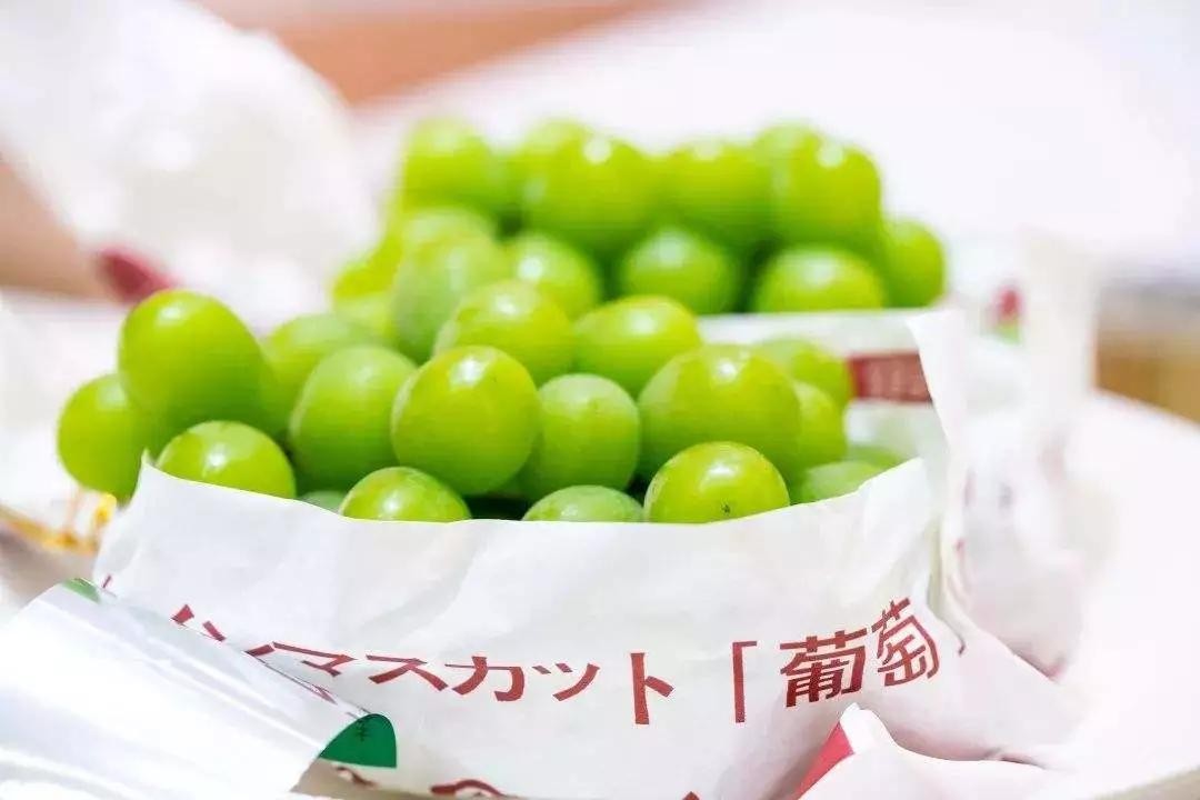 日本阳光葡萄,日本葡萄卖5000