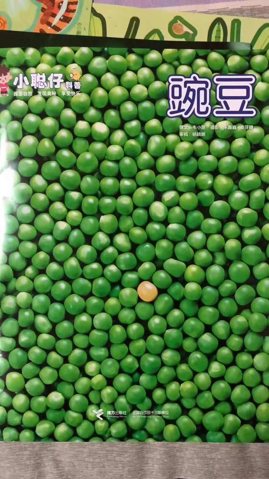 小聪仔科普版过刊值得买吗,小聪仔科普版值得买吗