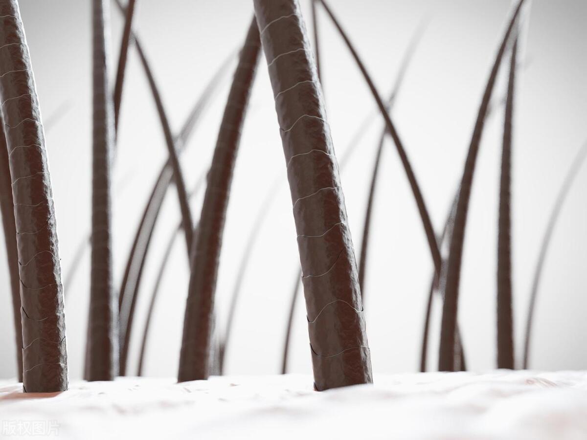 如何短时间内让头发更加浓密？