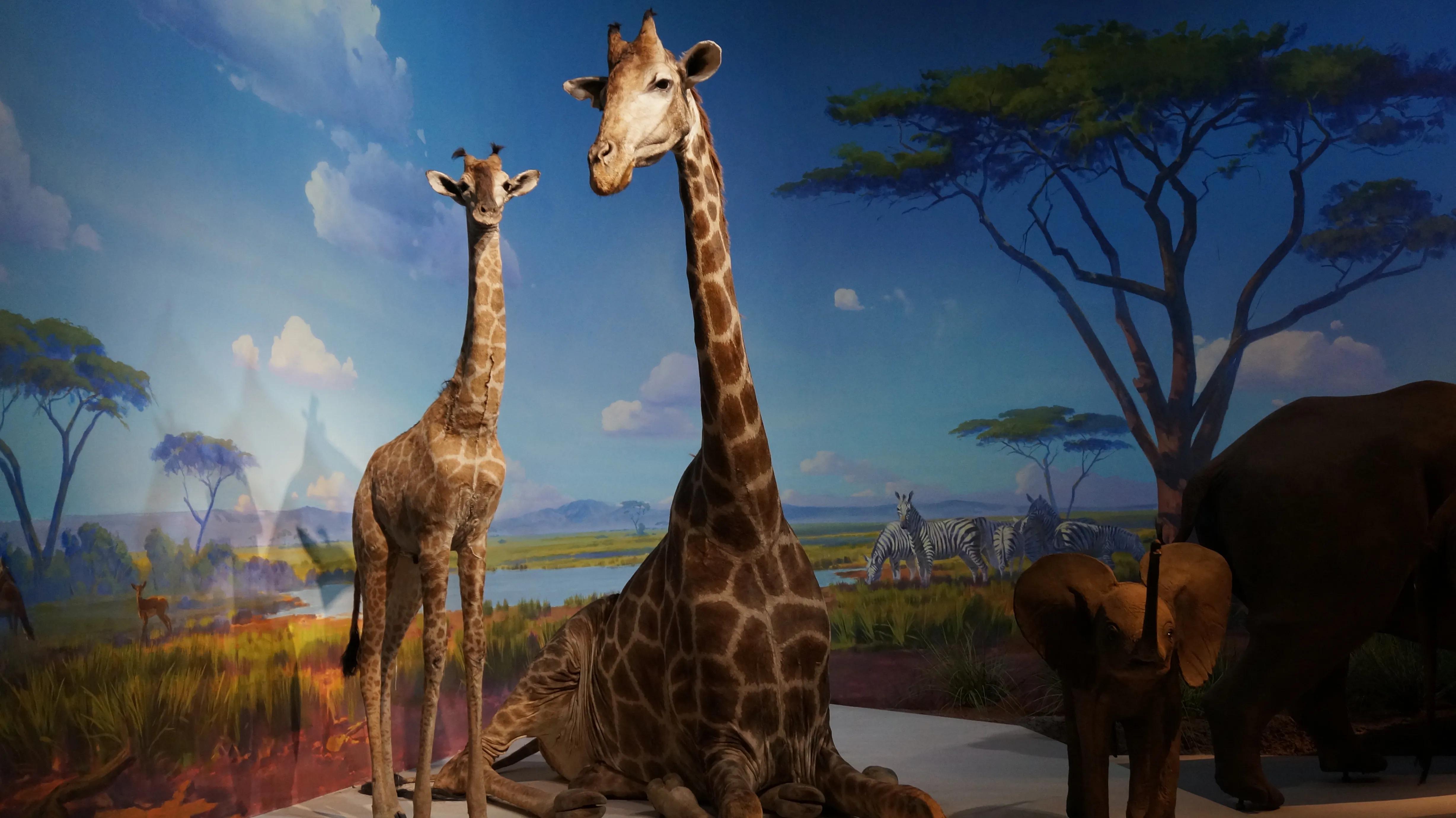 天津2天1晚游攻略夏天,天津2天1夜游攻略