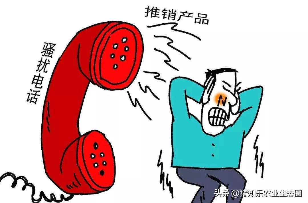 养猪受到村里欺压怎么办,养猪人被猪欺负视频