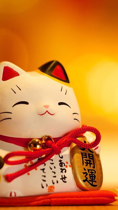 旺家猫有什么特征,身上有这些特征的猫是旺家猫