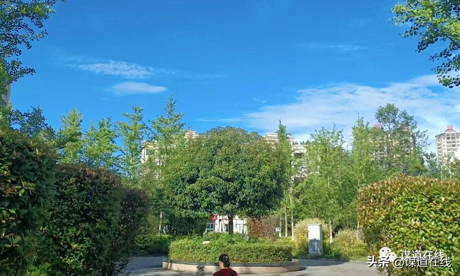 苏马荡各小区点评,苏马荡最好小区排名