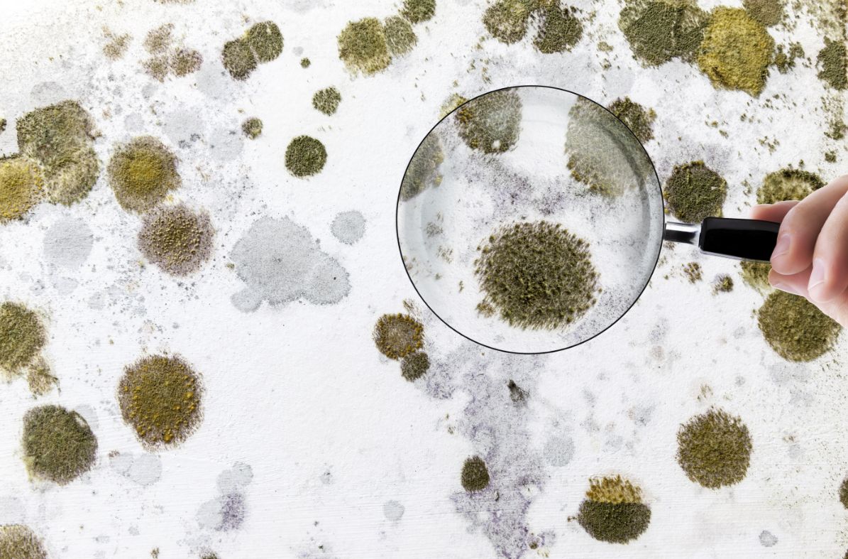 浴室密封条如何除霉,滚筒洗衣机怎么去密封圈的霉菌