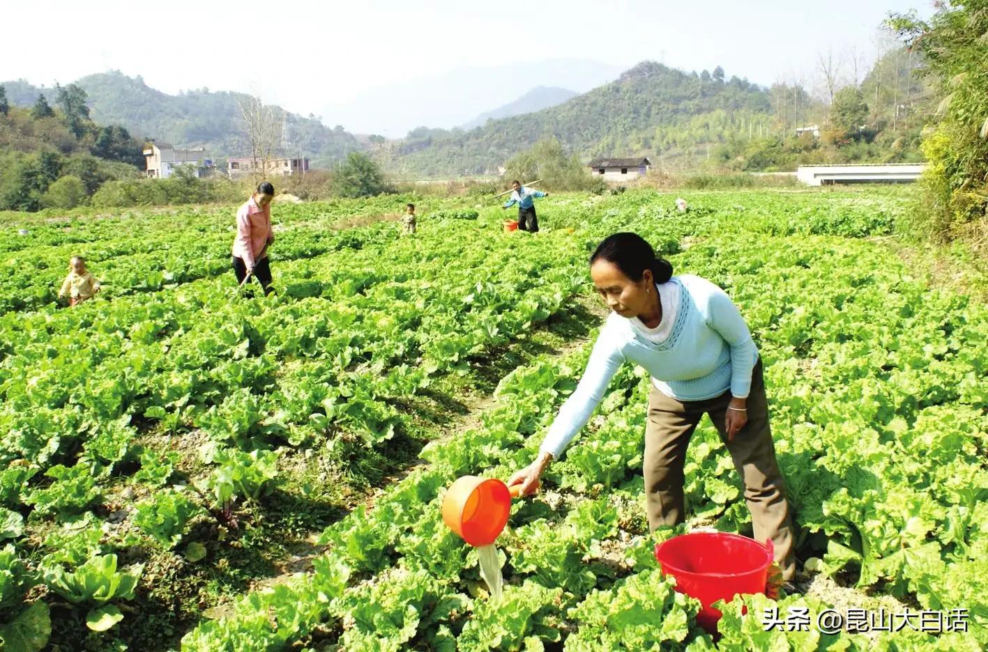 中国足球搞不上去,中国足球搞不好的原因