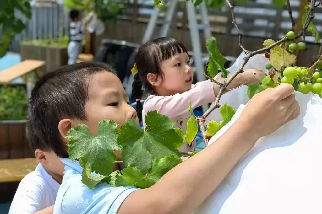 2023浙江省现代化学校名单,杭州现代化学校