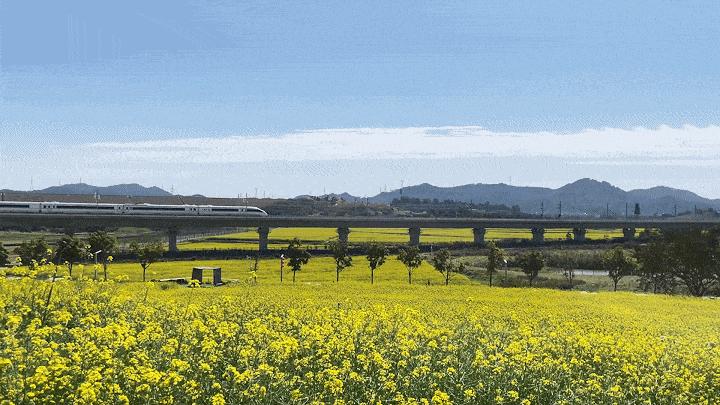 深圳甘坑客家小镇旅行,深圳甘坑古镇附近一日游攻略