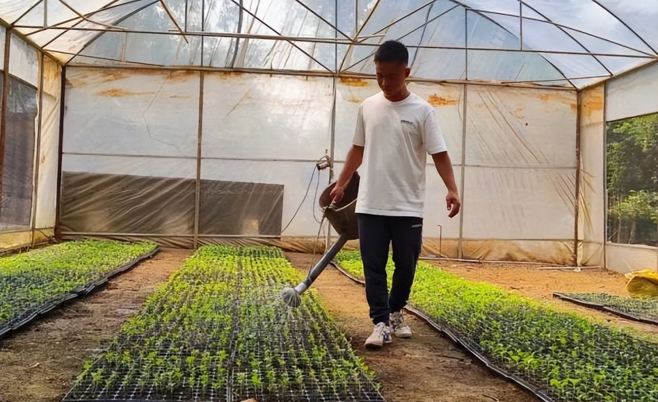 返乡创业新农人90后,创业90后新农人