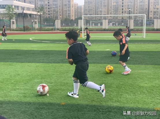 软件谷第二小学怎么样,软件谷二小多少个班