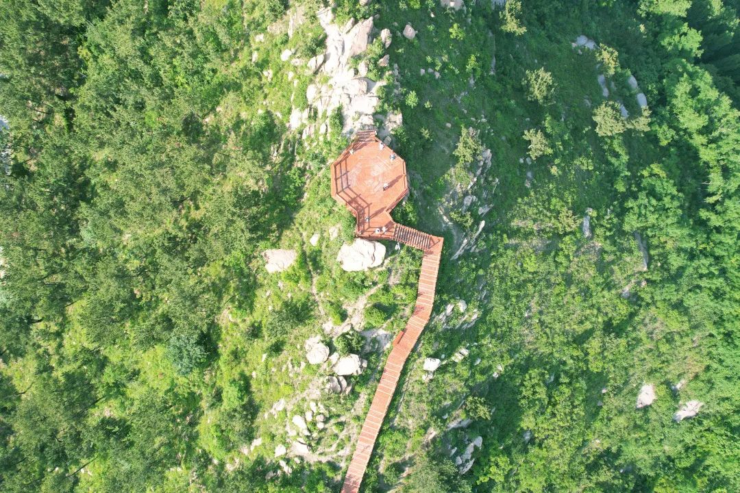 青岛浮山森林公园好玩吗,青岛浮山森林公园开放时间