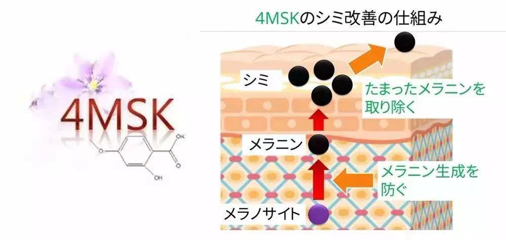 大牌平替真的能买吗,大牌平替到底值不值得买
