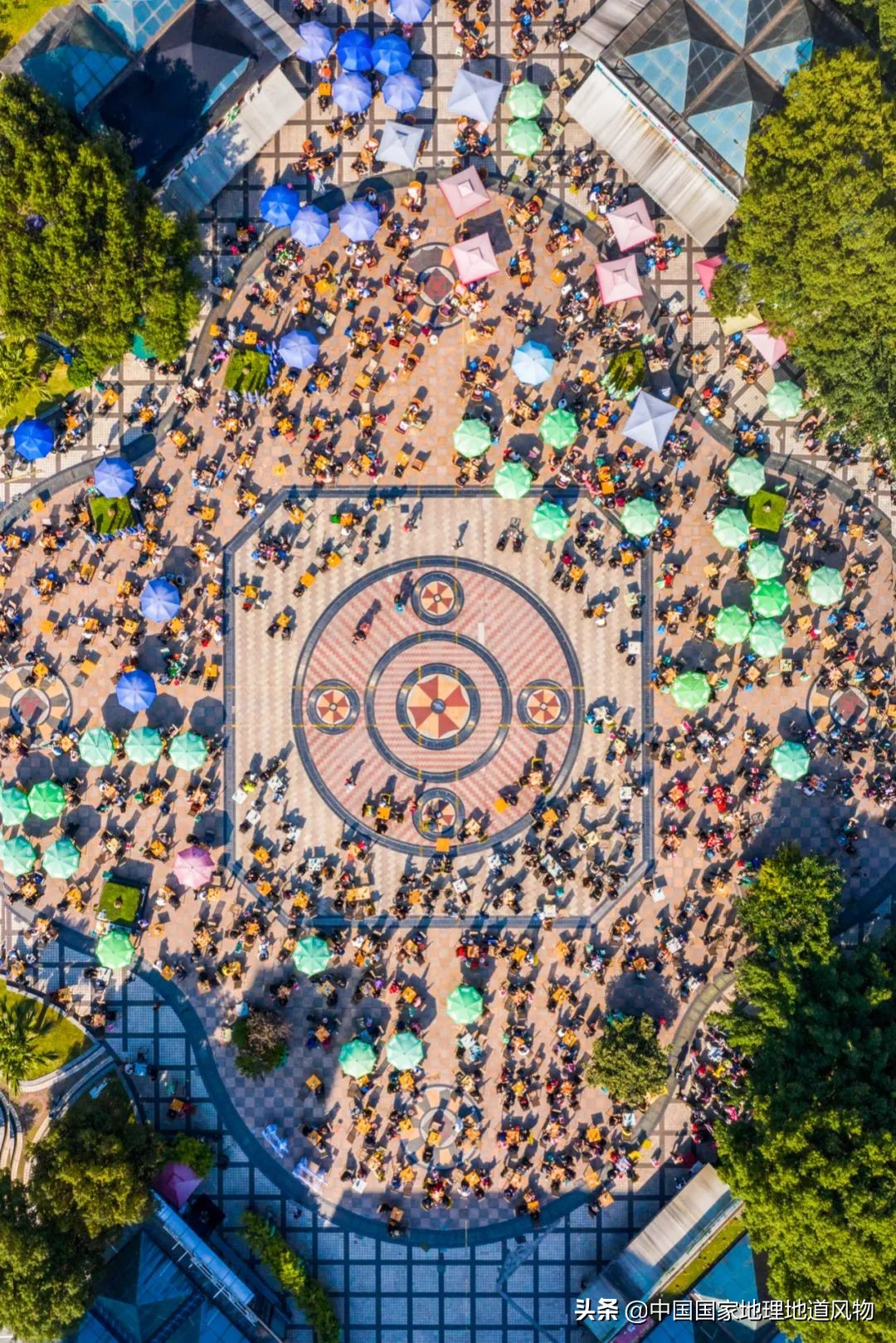 钵钵鸡冷串串家常做法藤椒味,红油串串钵钵鸡凉面