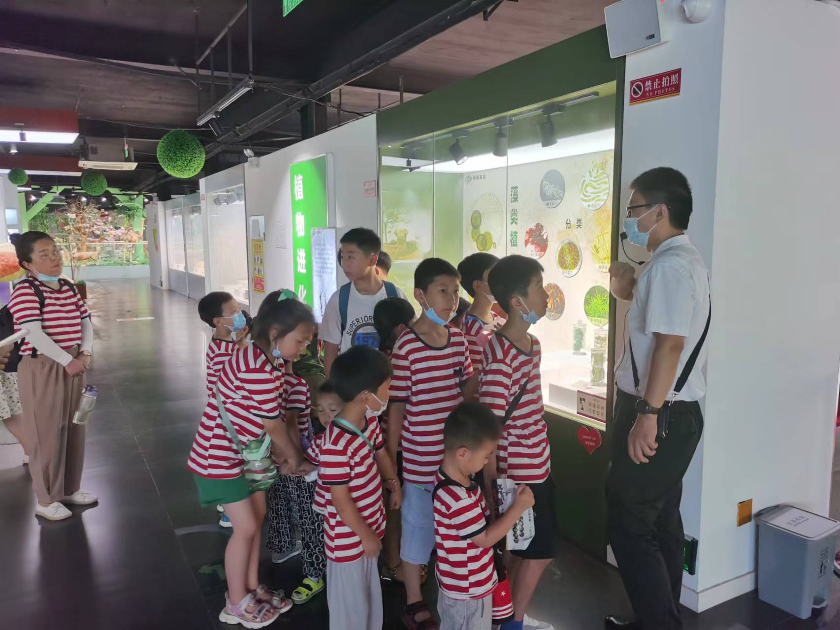 郑州踏青赏花全攻略,郑州最适合踏青赏花的地方