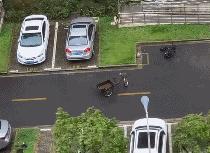 风大代表什么天气,风大是什么游戏