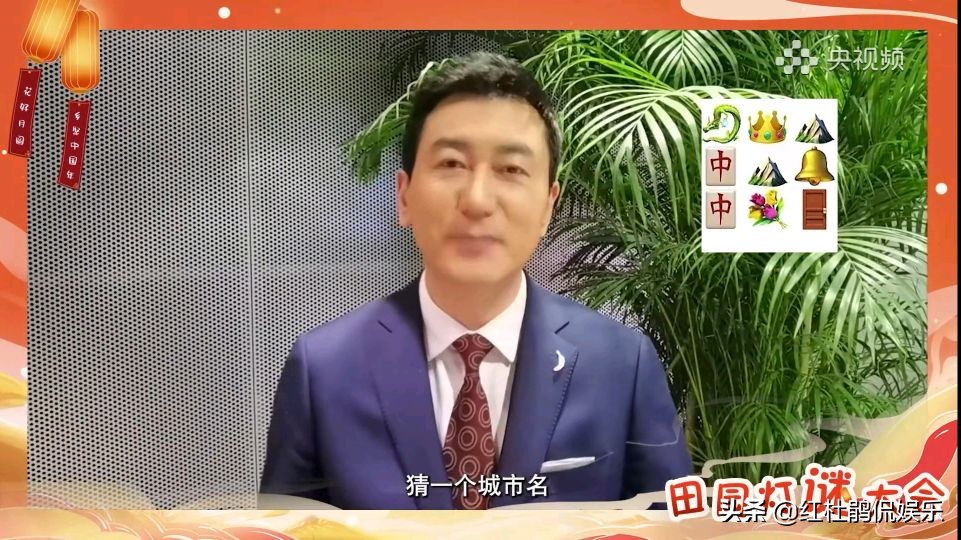 央视灯谜大会,央视谜语大赛直播