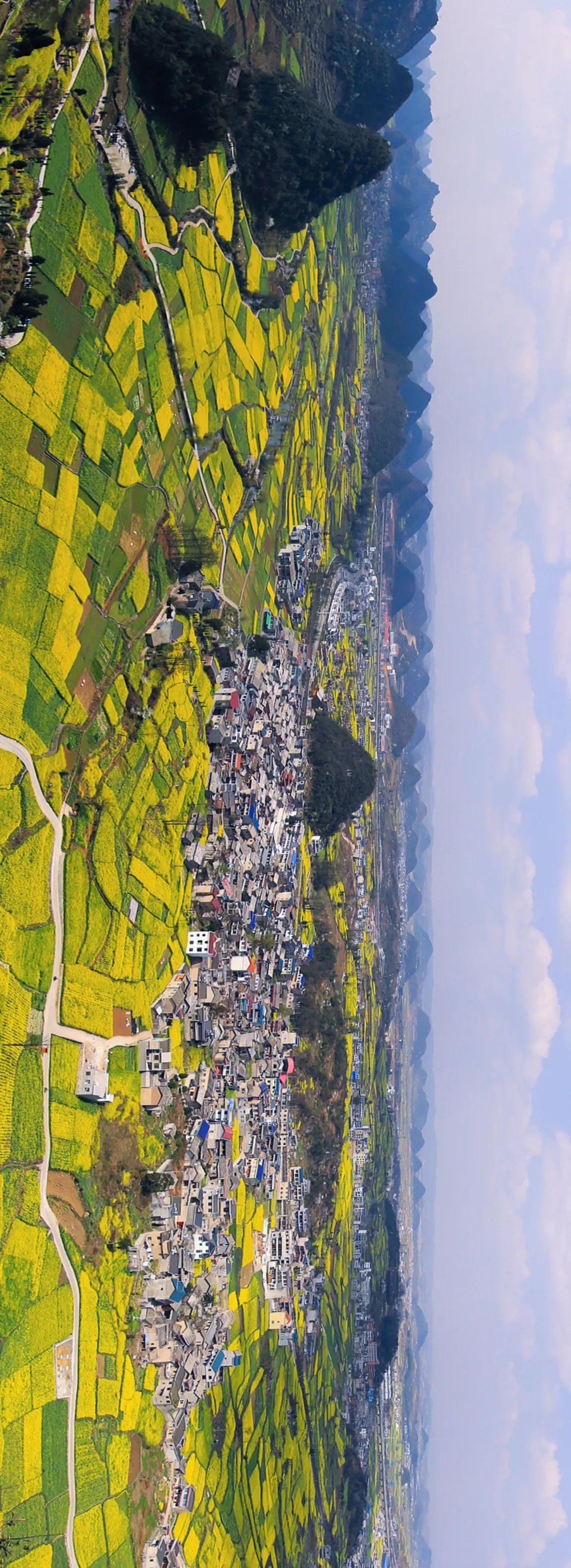 怎样才能了解中国真正的历史,怎么从头到尾了解中国的所有历史