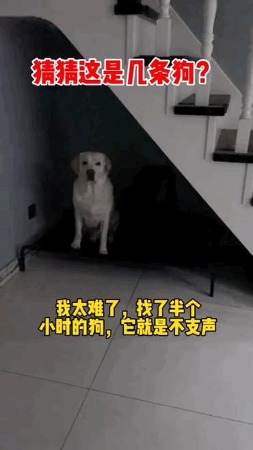 “男友花8150买包包，拆开后...”奢侈品不骗穷人！