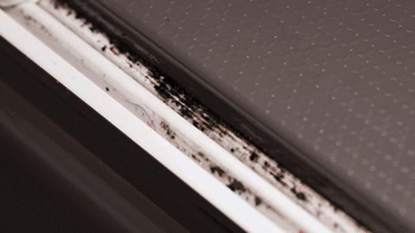 家里潮湿有霉菌,家里墙壁有潮湿的霉菌怎么办