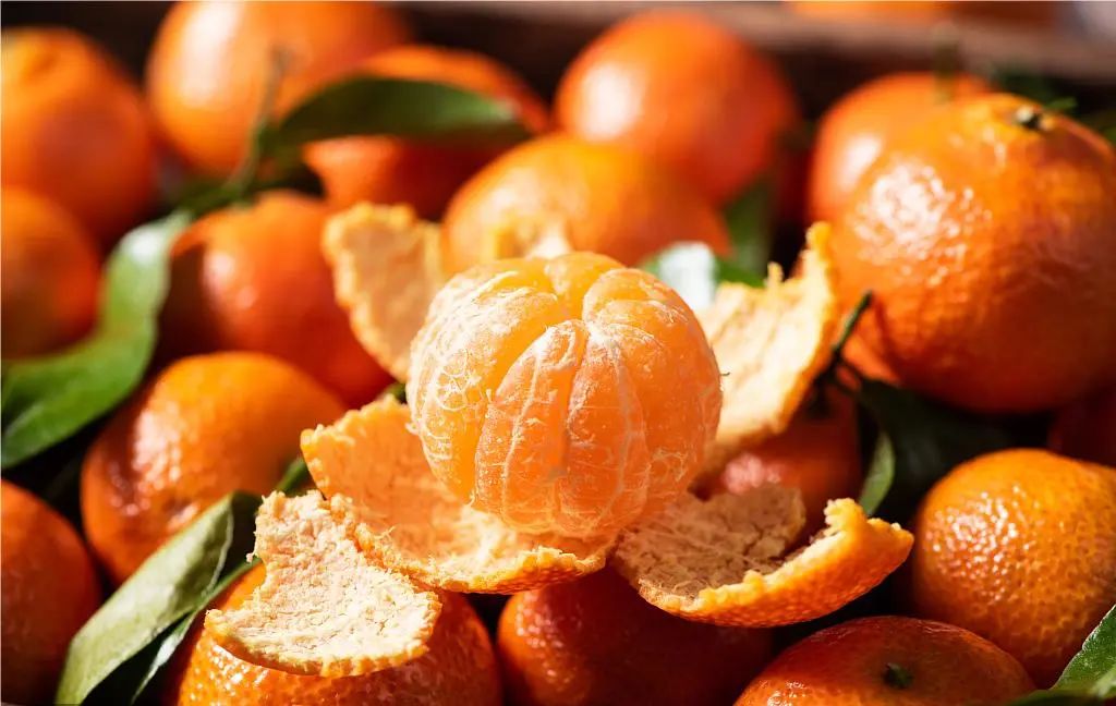 农产品加工如何破局,农产品同质化产品