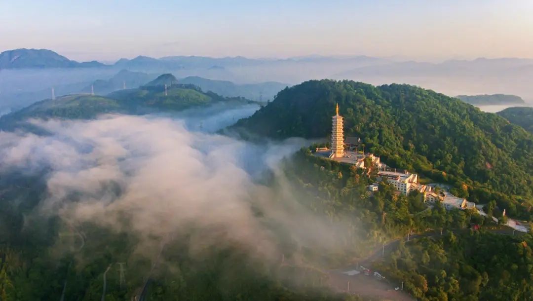 定格美好瞬间校园摄影大赛,2021年定格最美瞬间摄影大赛