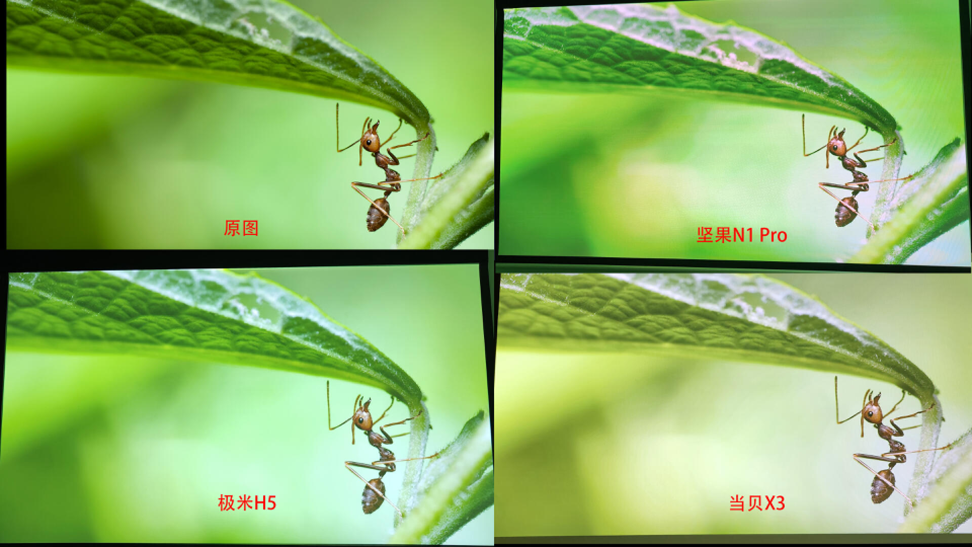 3000左右极米坚果当贝投影哪个好,当贝x5和坚果n1spro4k真实测评