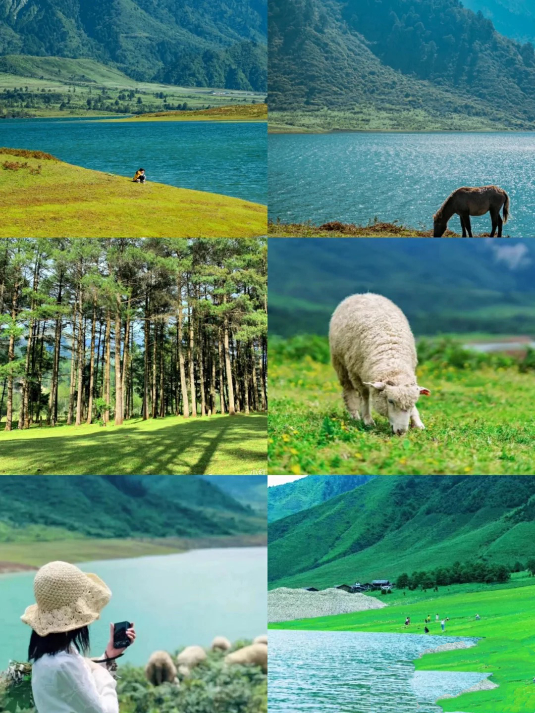 成都周边2-3天短途亲子游,成都2天短途旅游