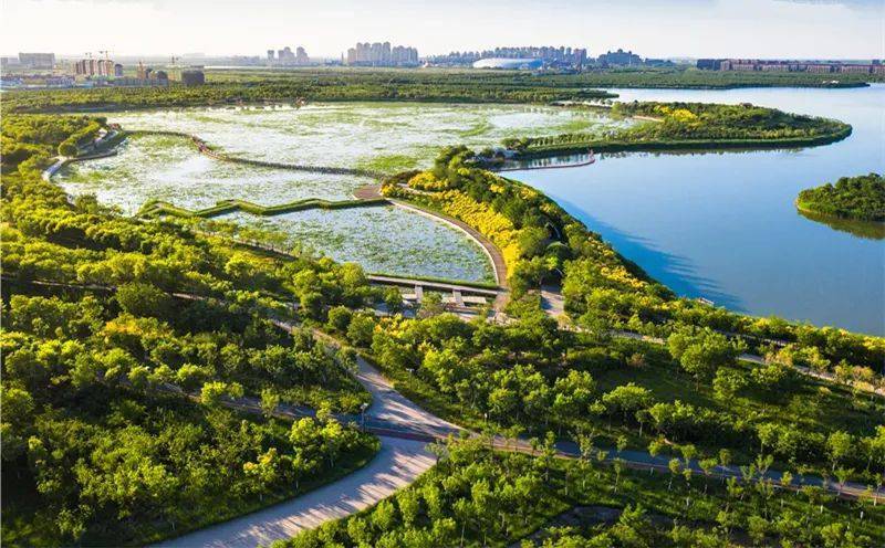 天津周边冷门海边,五一短途冷门自驾游天津