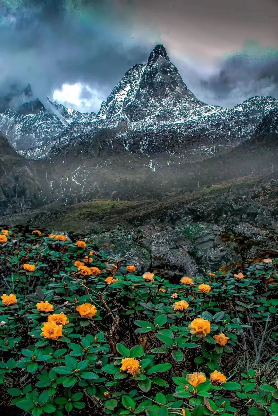 珠峰顶部发现微塑料,珠峰救回的刘群英