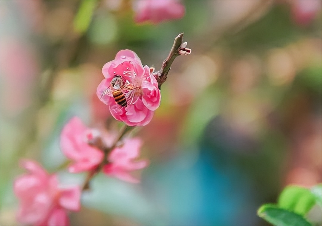 人到中年除了家人一无所有,人到中年唯一的依靠是能力与存款