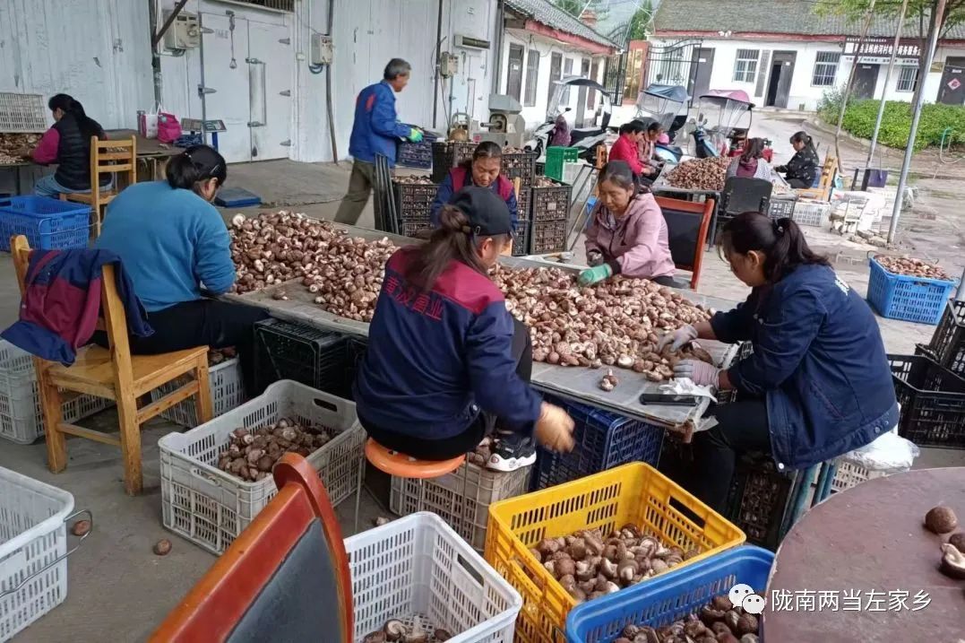 【妇女就业】在左家，有一种幸福叫“家门口”吃上“产业饭”