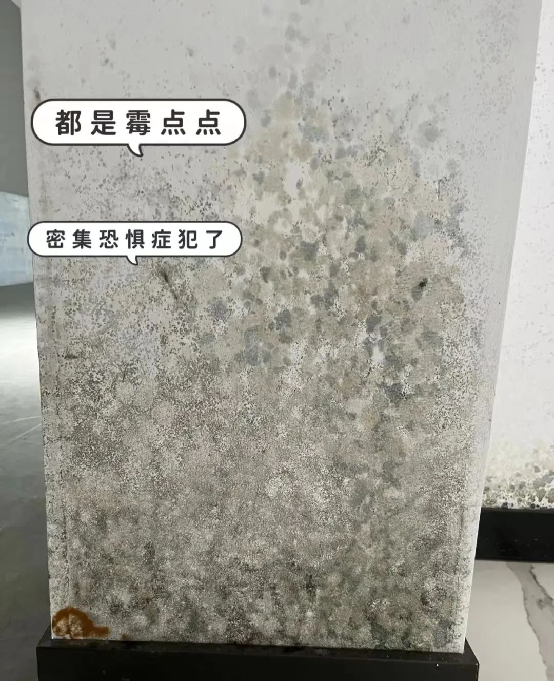 墙面渗水发霉怎么修复,墙纸渗水发霉开裂如何修复