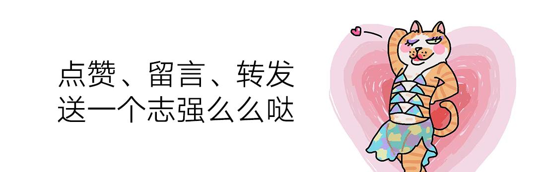 猫猫便血过后拉不出来了,猫猫便血是感染弓形虫了吗