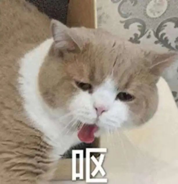 看了315晚会有何感想,看完315晚会的感想