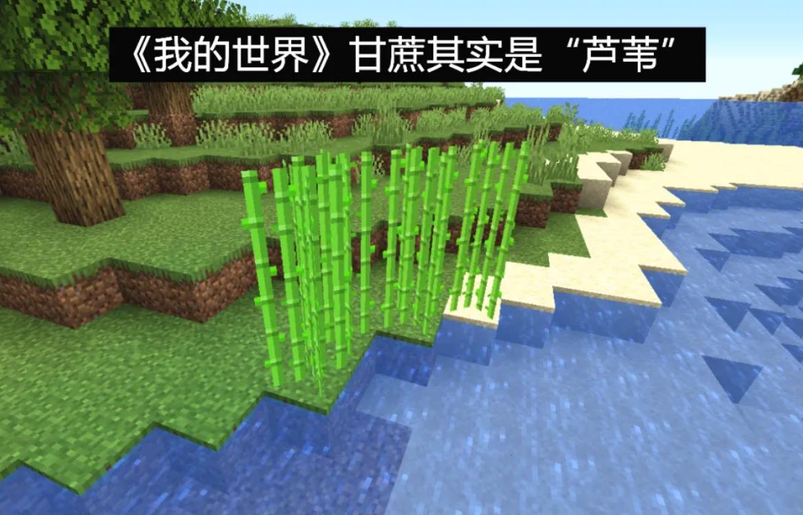 迷你世界230个被删除的元素,迷你世界删除230个元素后还剩什么