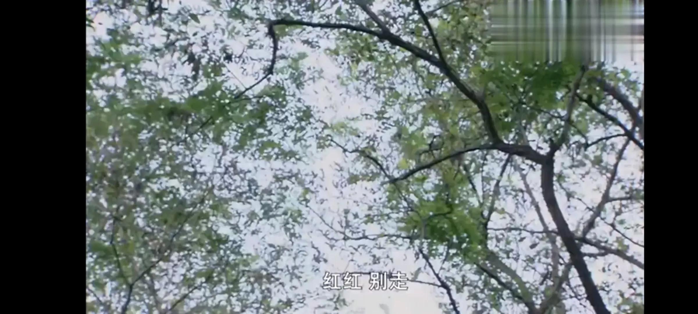 母爱有多伟大能让人起死回生,母爱很伟大吗