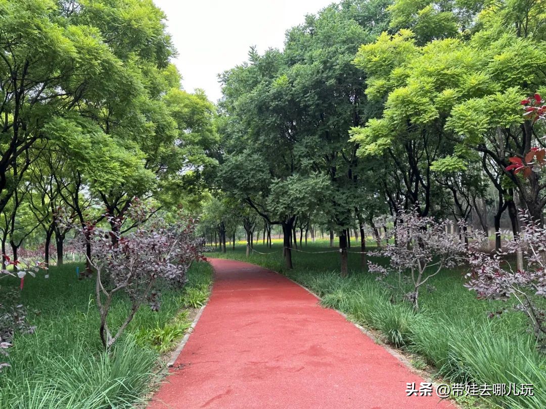 可搭帐篷公园,可以骑车搭帐篷的公园