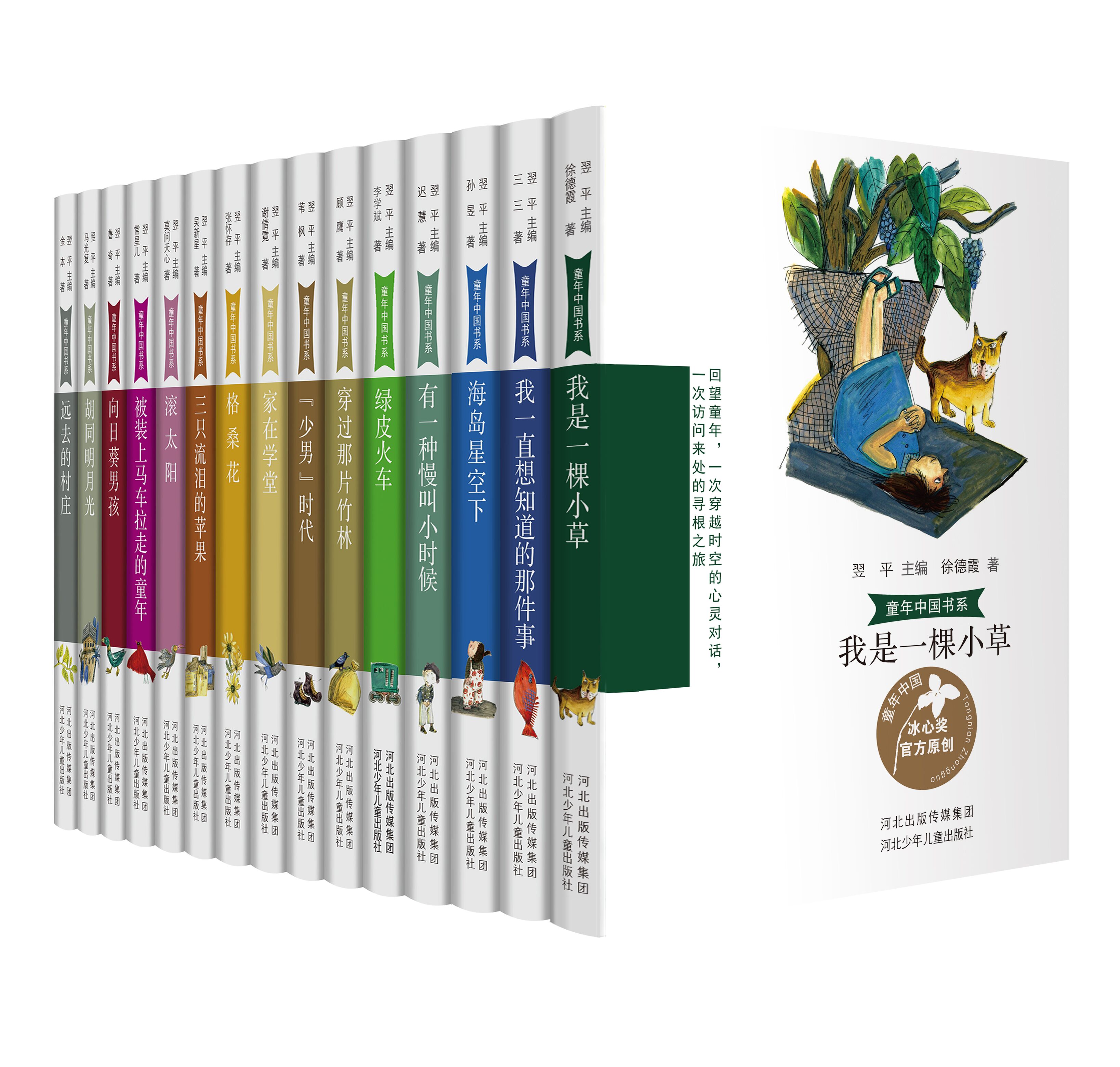 100篇优秀书评800字,优秀书评800字