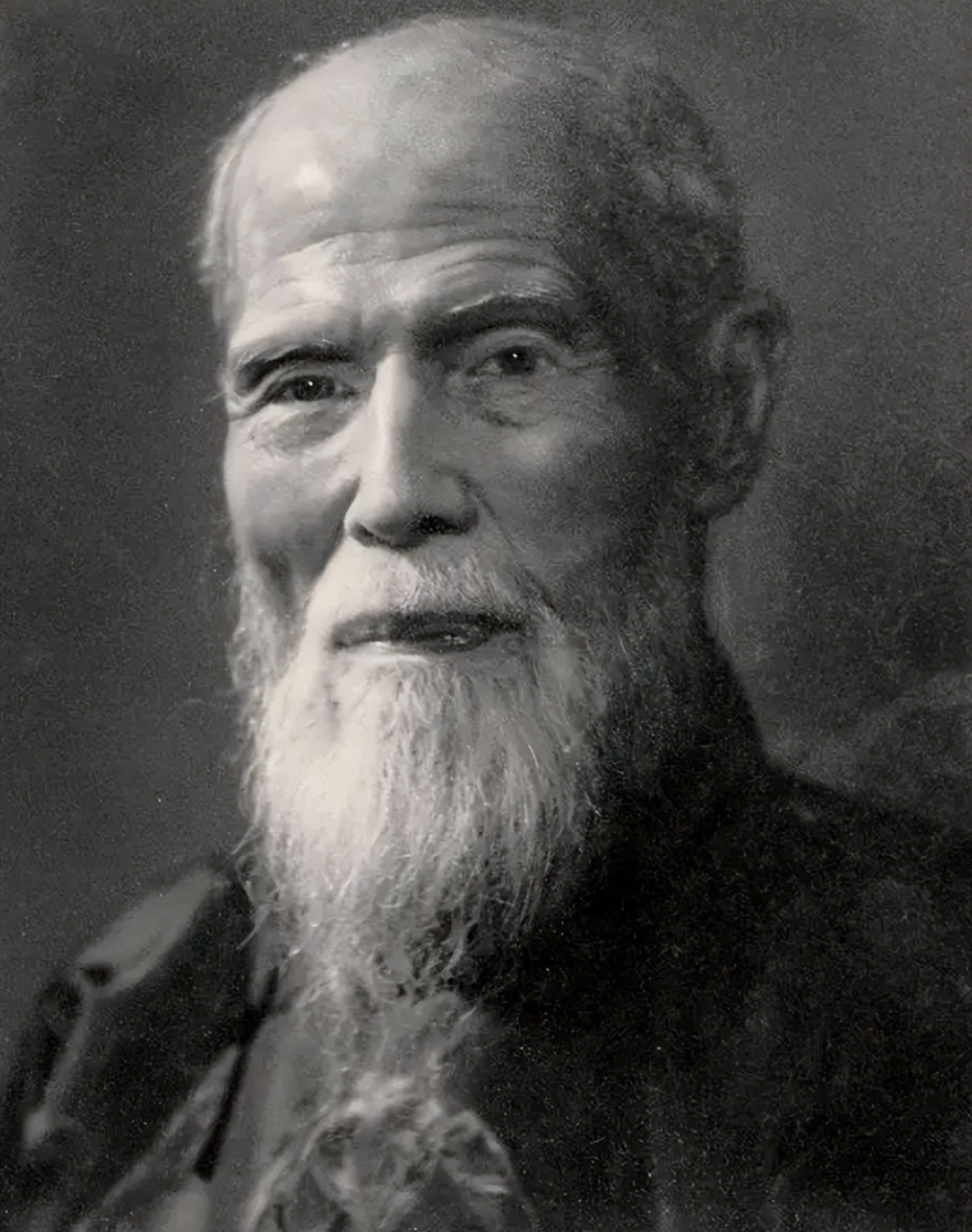 麦秀英简介,麦秀英有儿女吗