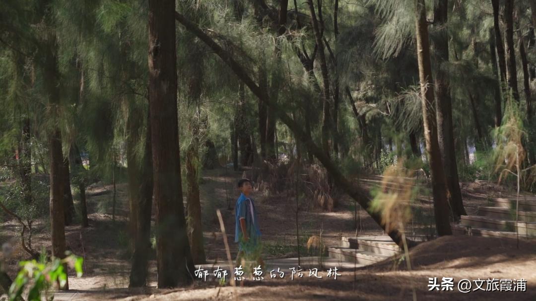 东海1号海钓,东海1号