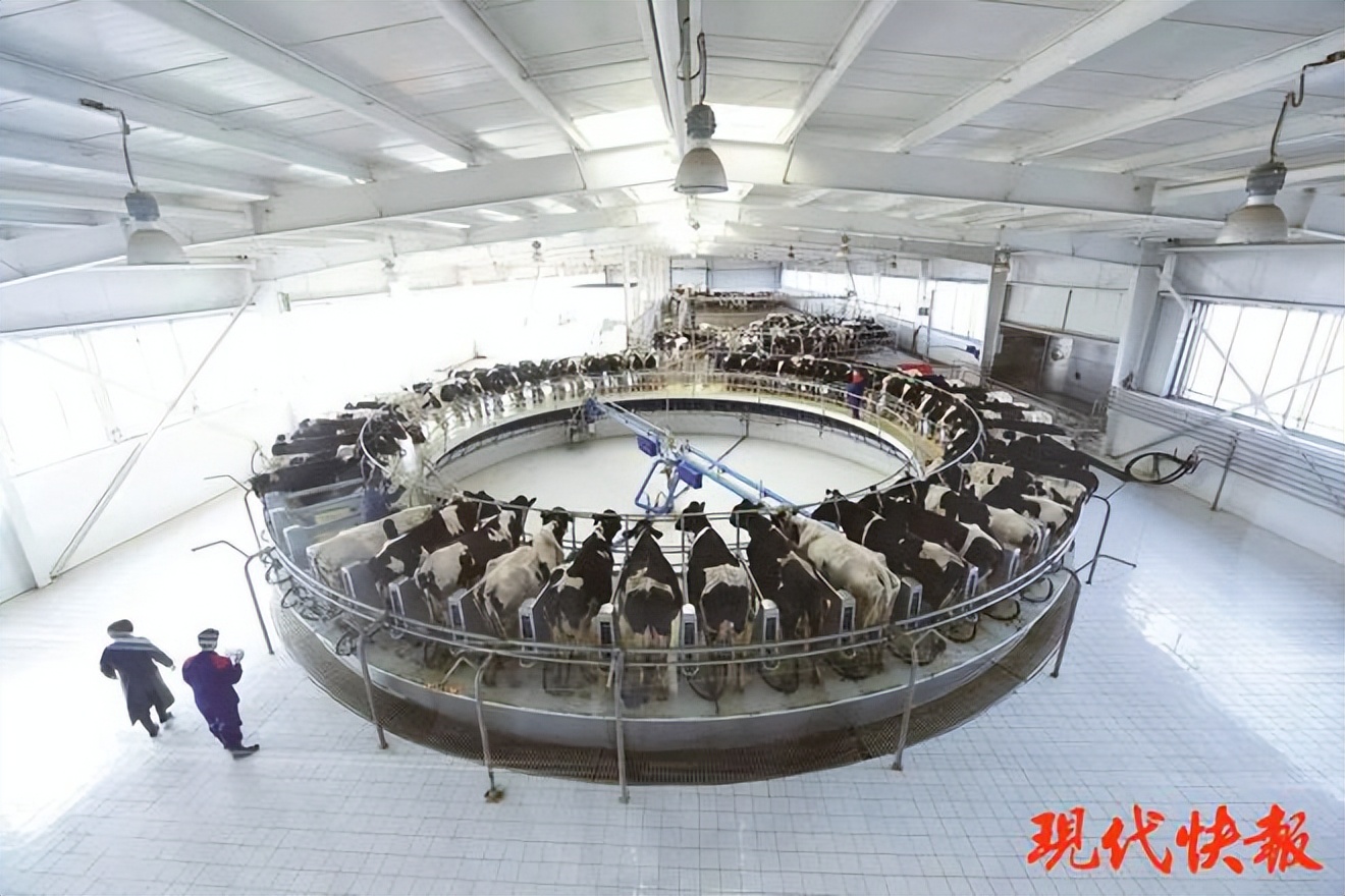 银宝集团,誓言返厂