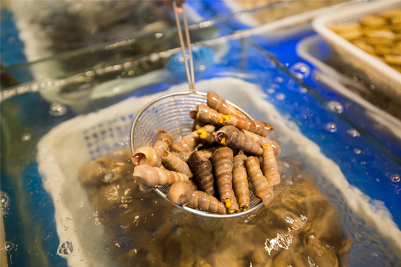 黄岐希尔顿龙狮轩中餐厅早茶,佛山黄岐美食推荐早茶