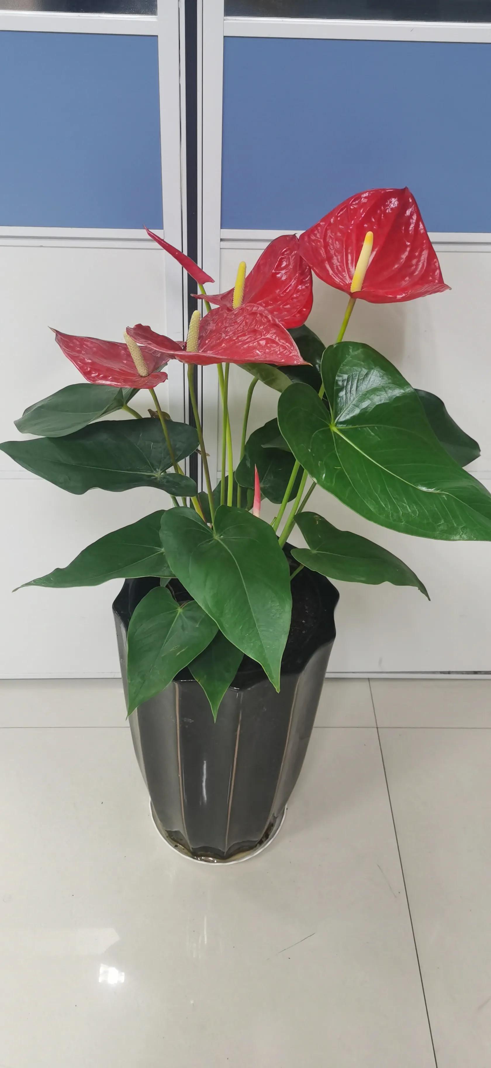 一台二手3D印刷机打下一亿产业，打破了寒门难出贵子的调侃。