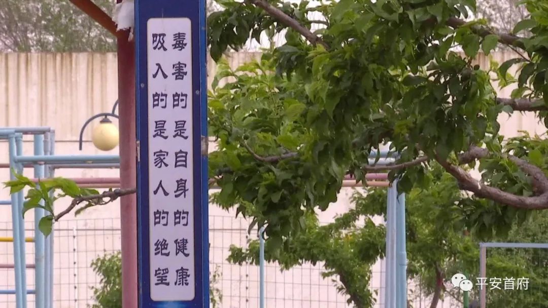 一日吸毒十年戒毒说明了什么,一日吸毒10年戒毒说明了什么