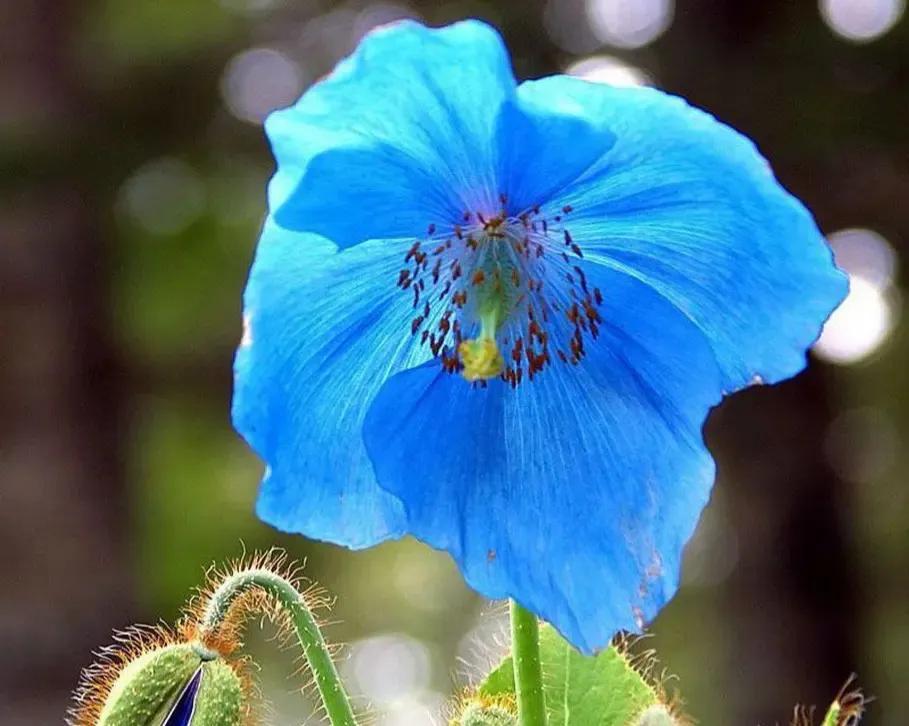 国色天香秀色可餐的美女 (秀色可餐与国色天香)