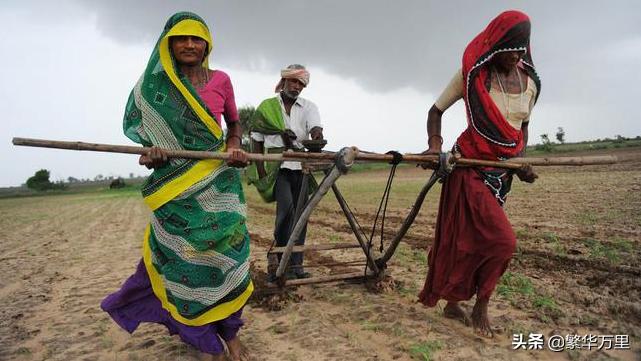 印度从中国进口化肥,印度今年化肥进口量