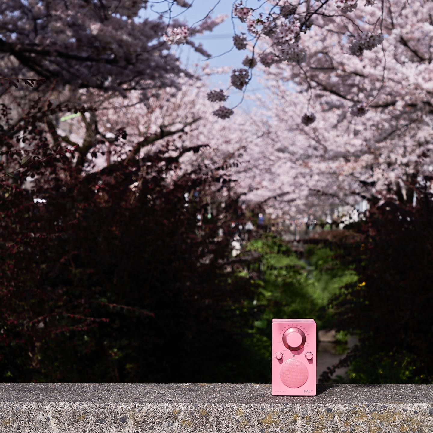 便携音箱测评|国庆出游好伴侣!被PALBT这台“彩色小野马”拿捏了