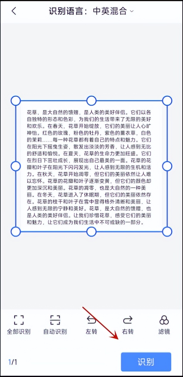 扫一扫识别文字变成word,什么软件扫一扫识别拼音转文字
